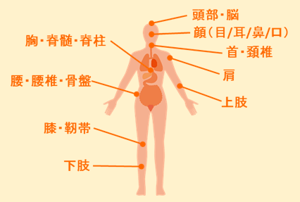 部位のご紹介